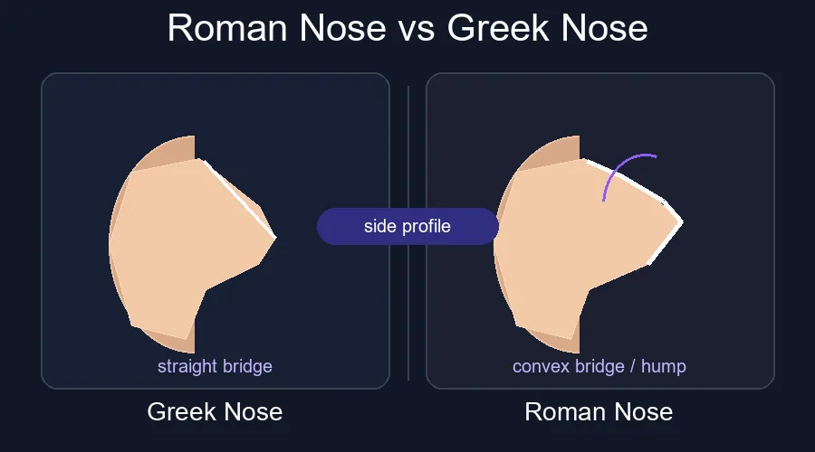 Roman nose vs Greek nose comparison chart showing convex bridge and straight bridge side profiles